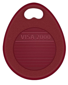 Badge Visa 2000
